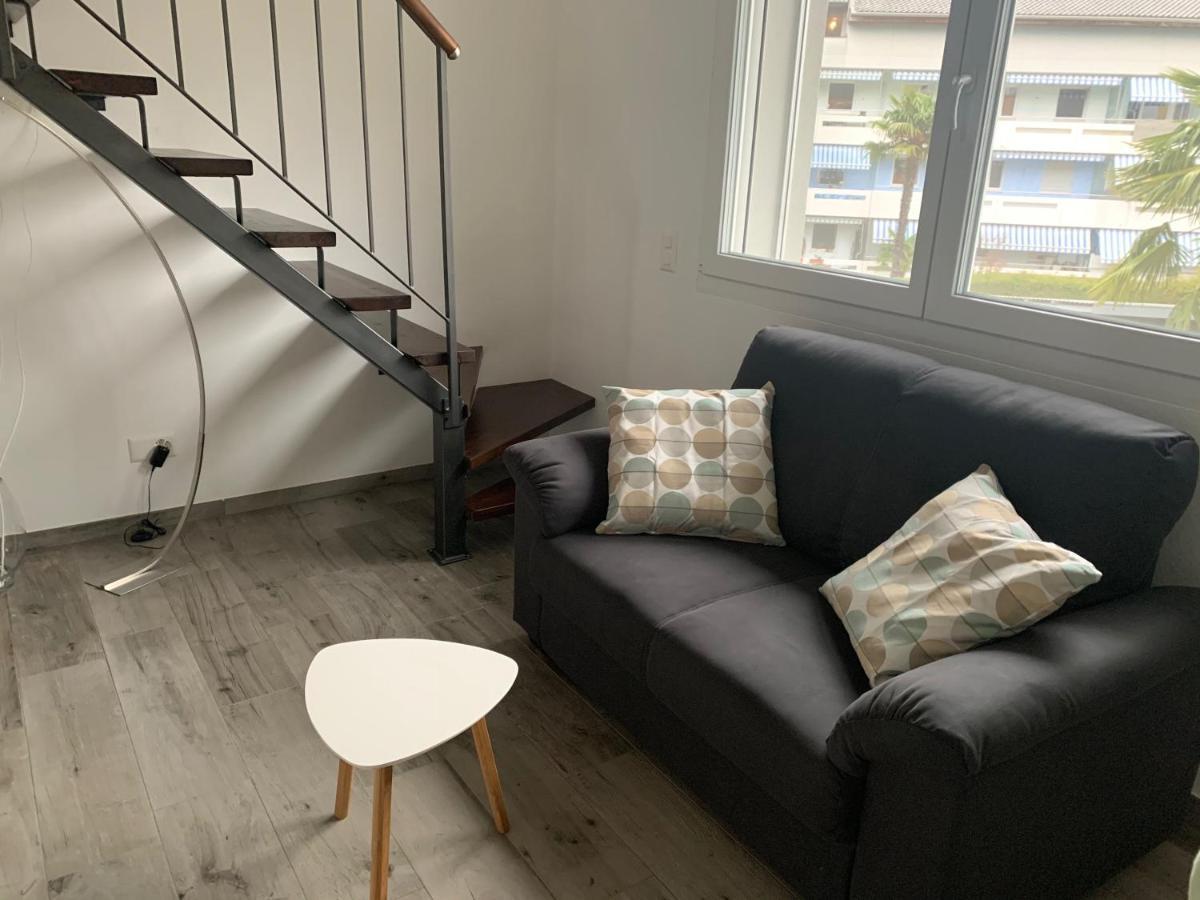 Appartement Miranda, Modern Duplex, Garden, Swimming Pool, Parking à Losone Extérieur photo